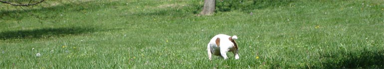 Absolutely free Gay Sexcam Web Page header image 2 Absolutely free Gay Sexcam Web Page header image 2